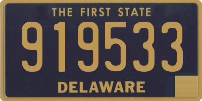 DE license plate 919533