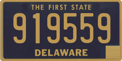 DE license plate 919559