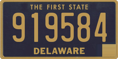 DE license plate 919584