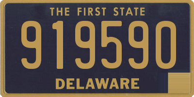 DE license plate 919590