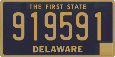 DE license plate 919591