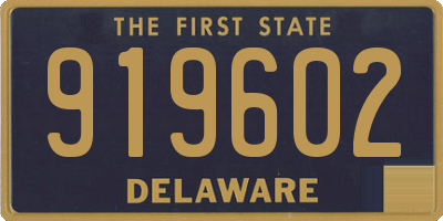 DE license plate 919602