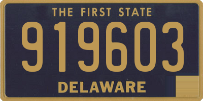 DE license plate 919603