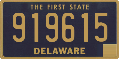 DE license plate 919615