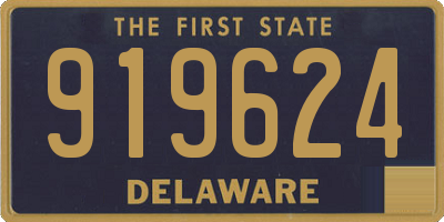 DE license plate 919624