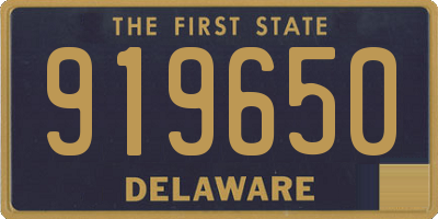 DE license plate 919650
