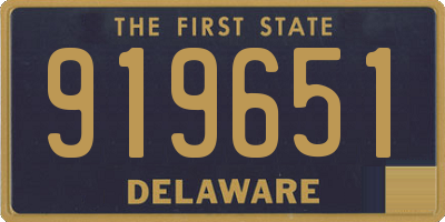 DE license plate 919651