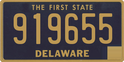 DE license plate 919655