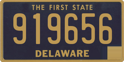 DE license plate 919656