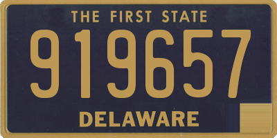 DE license plate 919657