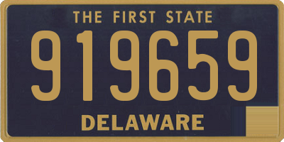 DE license plate 919659
