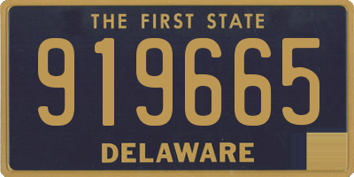 DE license plate 919665