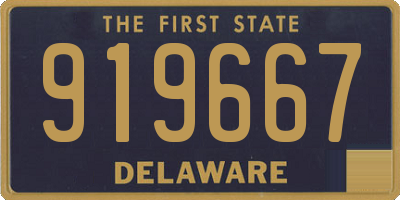 DE license plate 919667