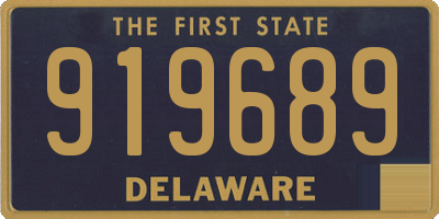 DE license plate 919689