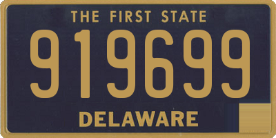 DE license plate 919699