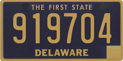 DE license plate 919704