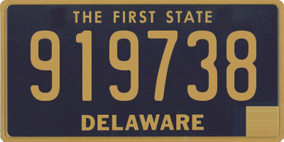 DE license plate 919738
