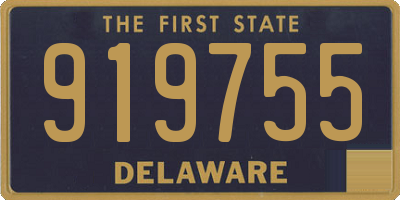 DE license plate 919755
