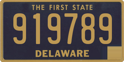 DE license plate 919789