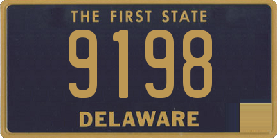 DE license plate 9198