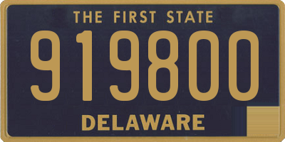 DE license plate 919800