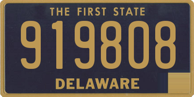 DE license plate 919808