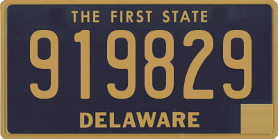 DE license plate 919829