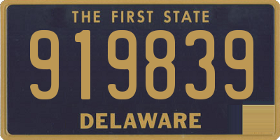 DE license plate 919839
