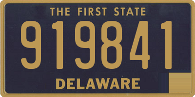 DE license plate 919841