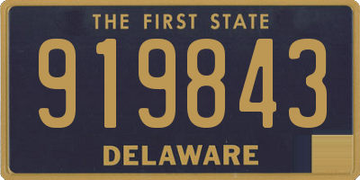 DE license plate 919843