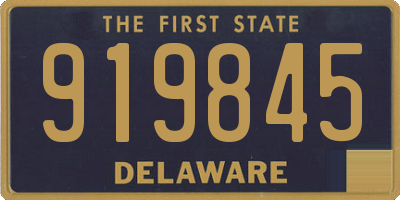 DE license plate 919845