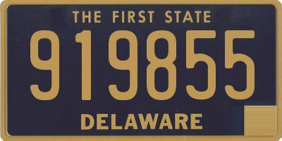 DE license plate 919855