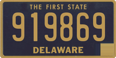 DE license plate 919869