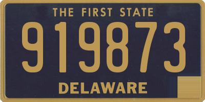 DE license plate 919873