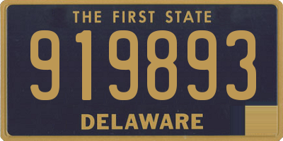 DE license plate 919893
