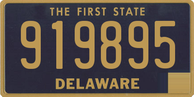 DE license plate 919895