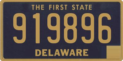 DE license plate 919896