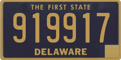 DE license plate 919917