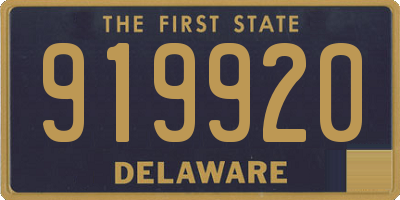 DE license plate 919920