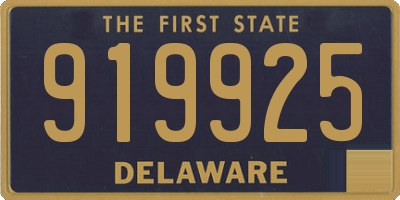 DE license plate 919925
