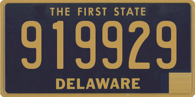 DE license plate 919929
