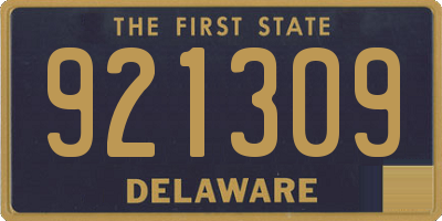 DE license plate 921309