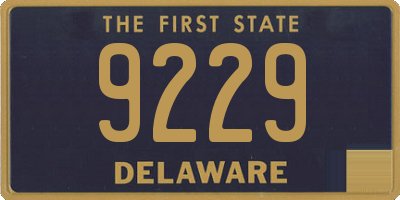 DE license plate 9229