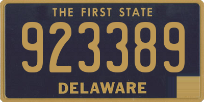 DE license plate 923389