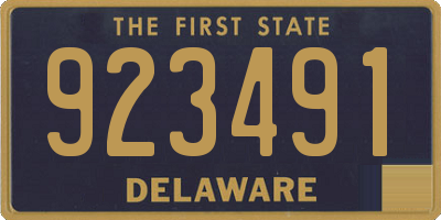 DE license plate 923491