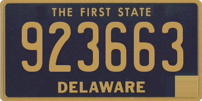 DE license plate 923663