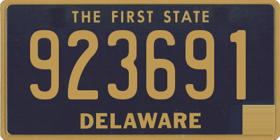 DE license plate 923691