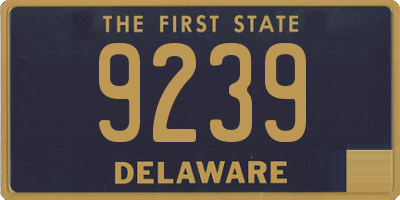 DE license plate 9239