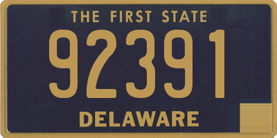 DE license plate 92391