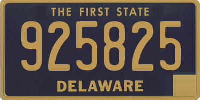 DE license plate 925825